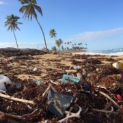 "Plastic Harvest & Upcycle"