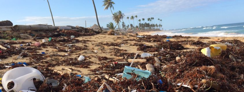 "Plastic Harvest & Upcycle"